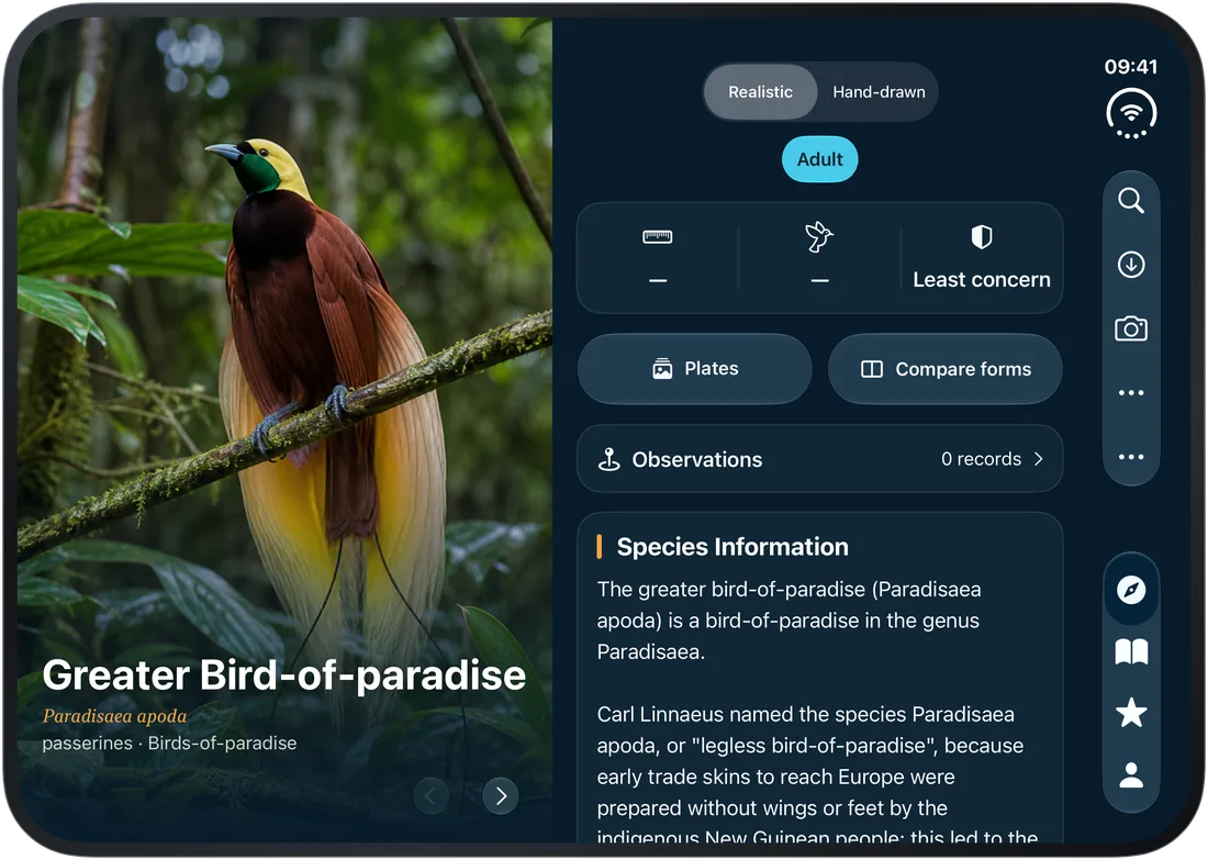 iPhone Duo · Unfold: the bird on the left, notes on the right