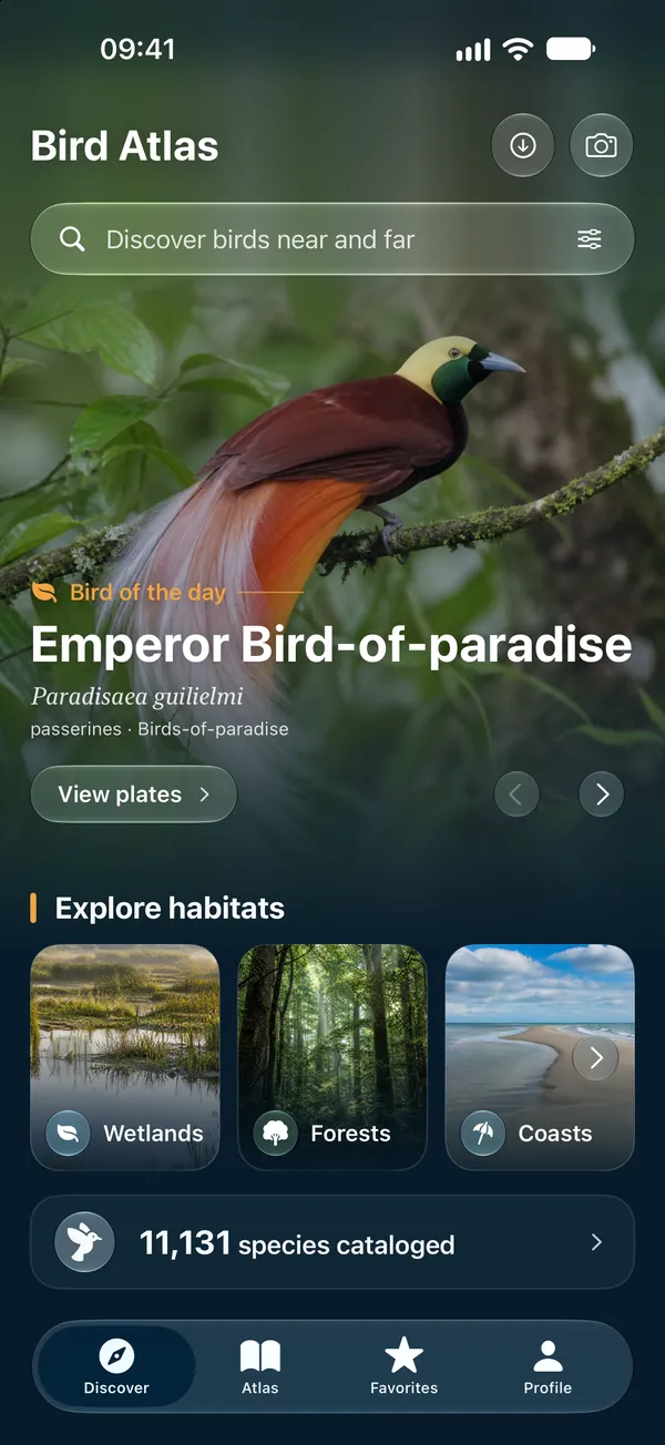 iPhone · A bird guide that goes everywhere