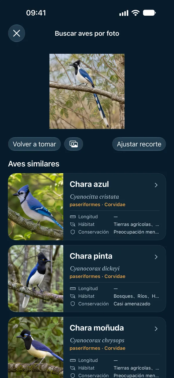 Buscar aves por foto