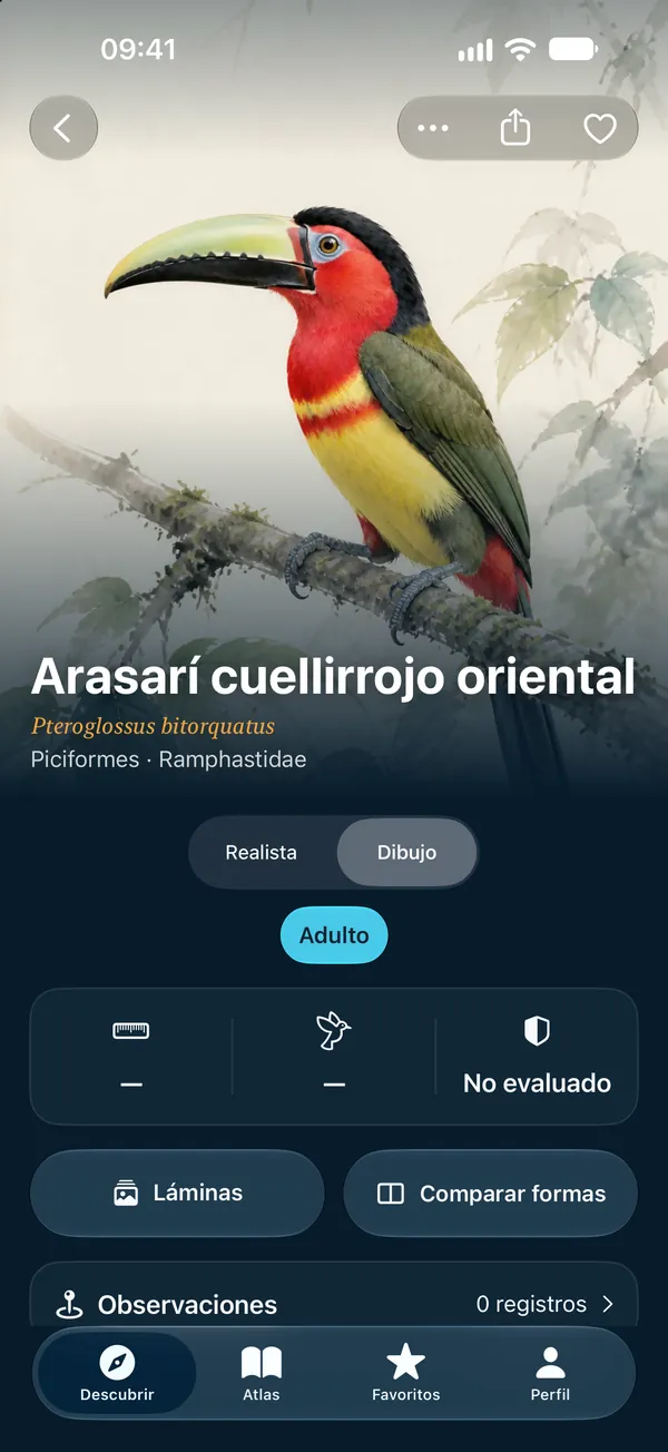 Dibujo