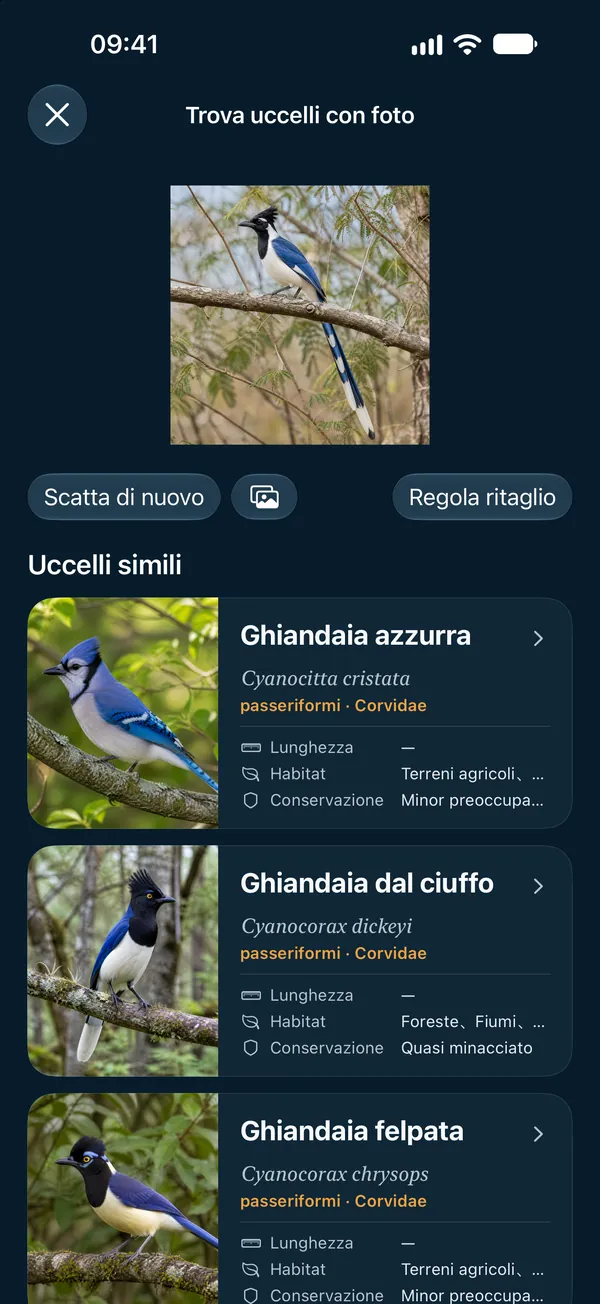 Trova uccelli con foto