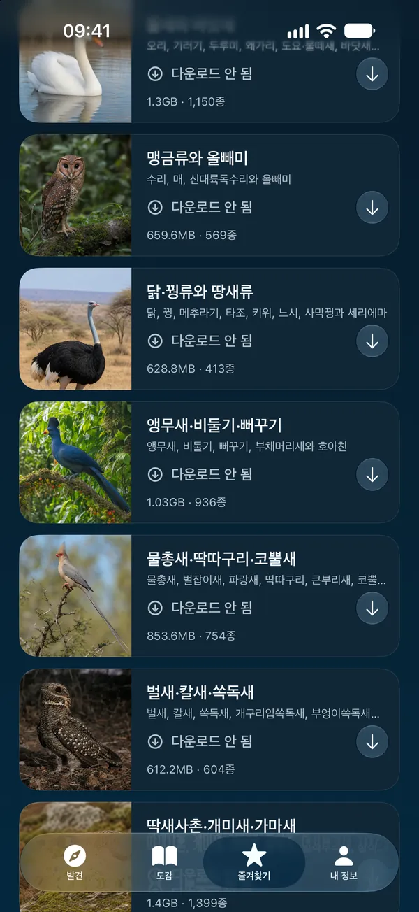 오프라인 팩