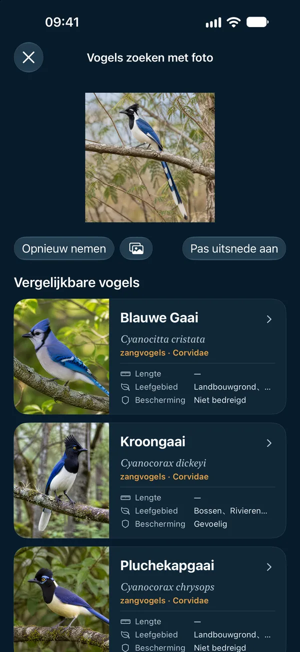 Vogels zoeken met foto