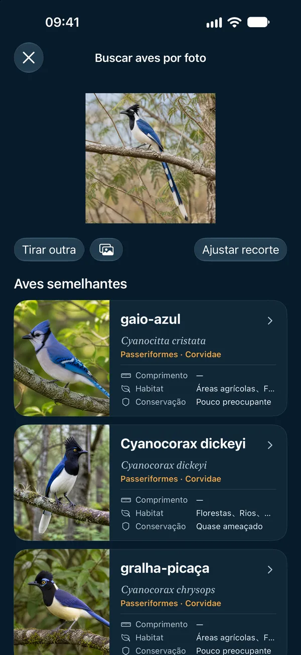 Buscar aves por foto