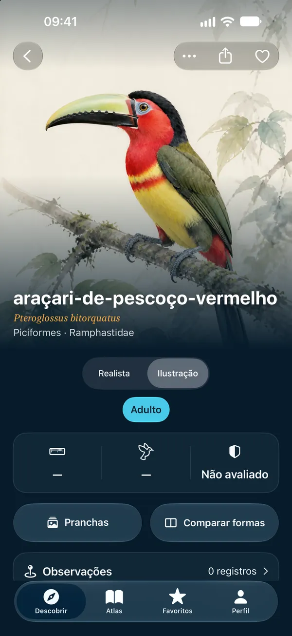 Ilustração