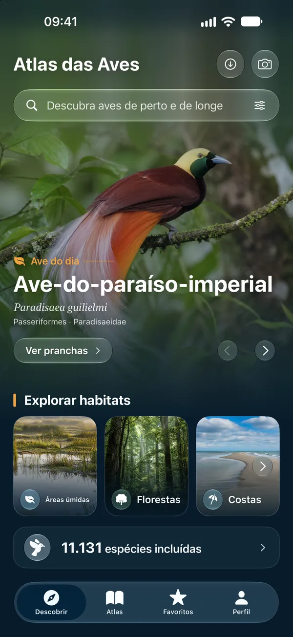 iPhone · O guia que vai com você