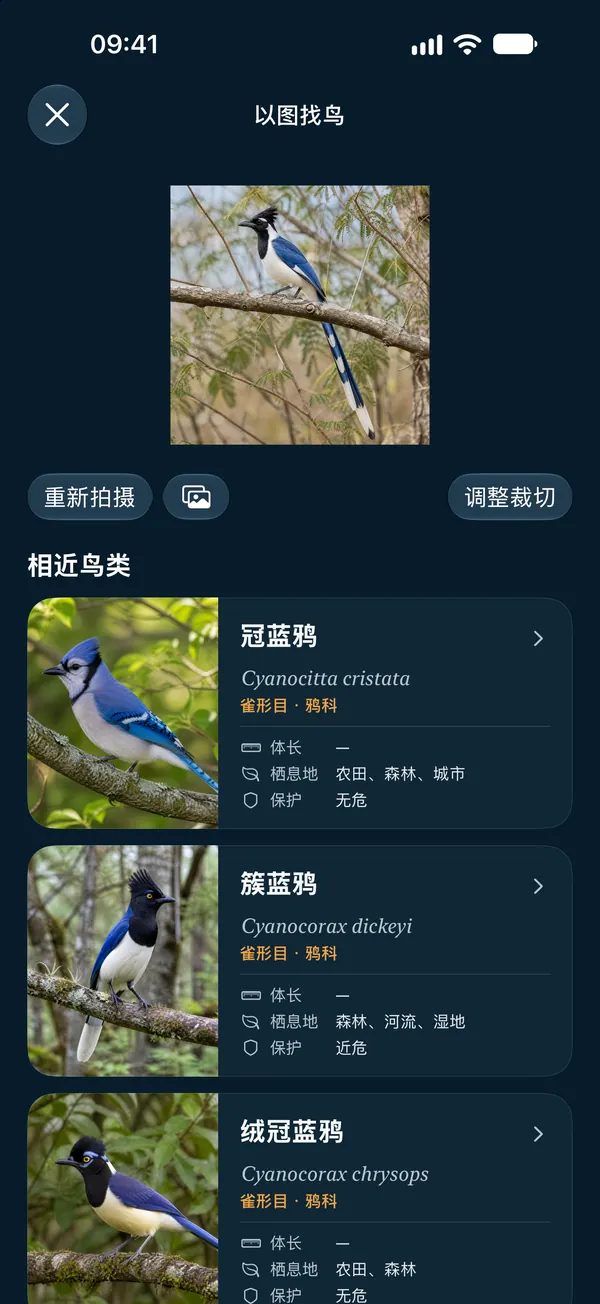 以图找鸟