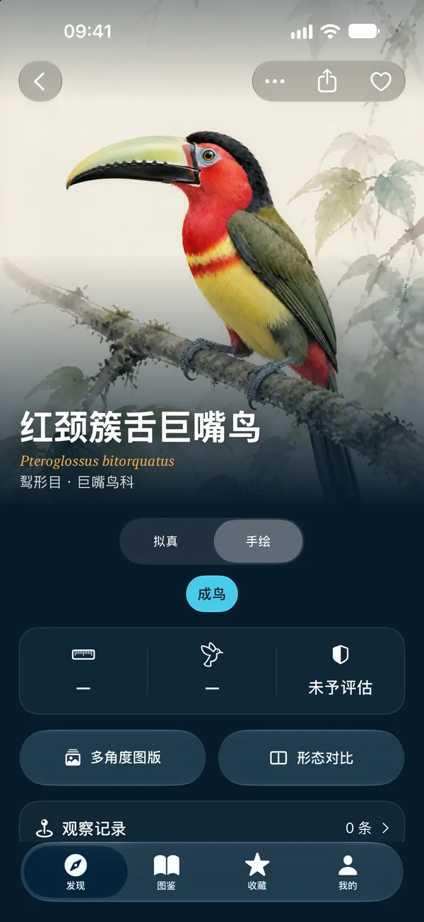手绘