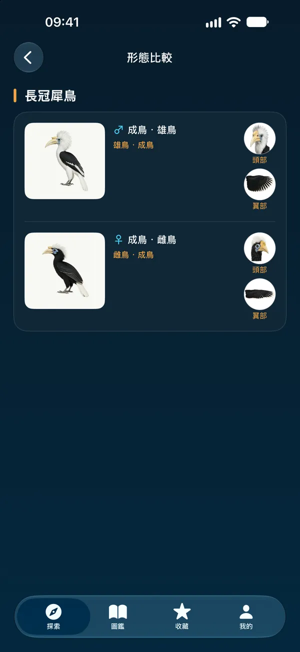 形態比較
