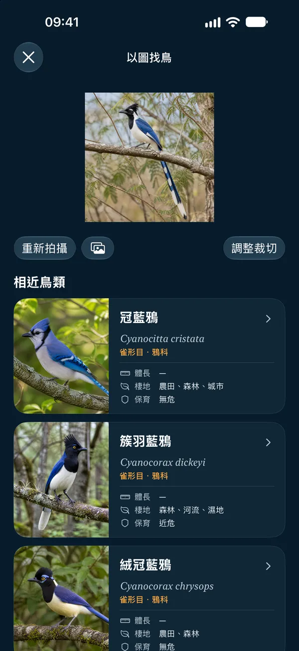 以圖找鳥